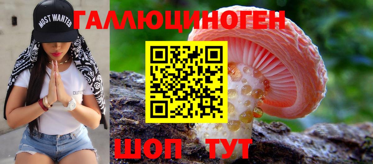 Псилоцибиновые грибы Magic Shrooms  Вход с VPN  Саяногорск  где продают наркотики  Галлюциногенные грибы GOLDEN TEACHER 