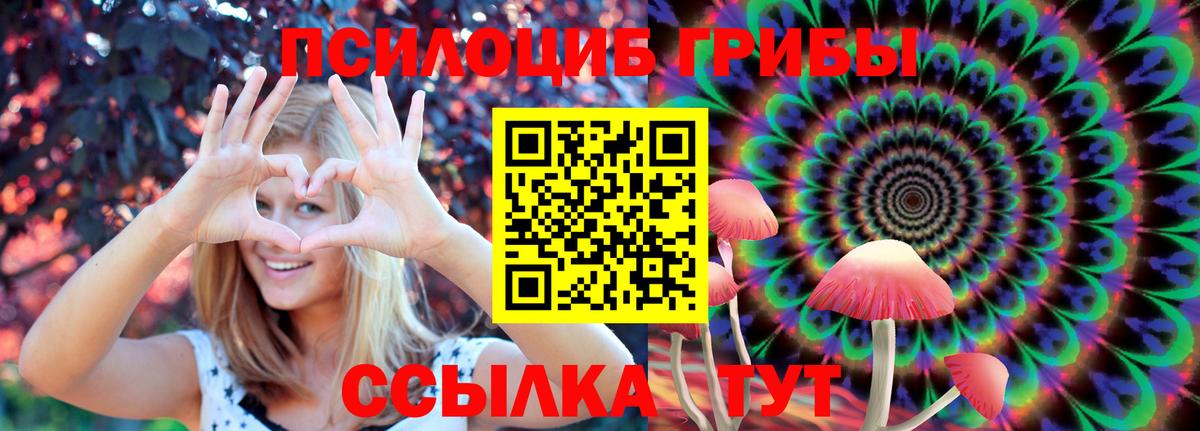 Галлюциногенные грибы мухоморы Саяногорск